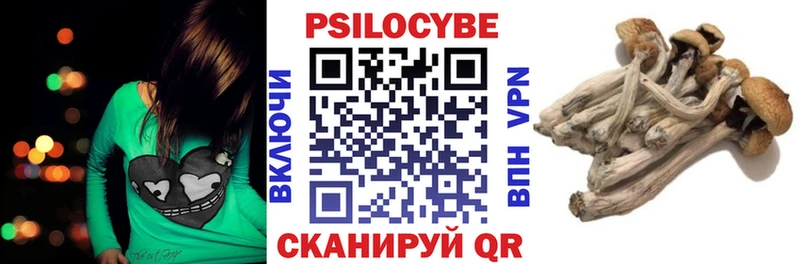 Галлюциногенные грибы Magic Shrooms  сколько стоит  Алатырь 